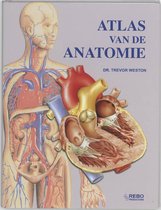 Atlas Van De Anatomie