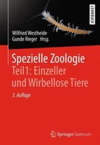 Spezielle Zoologie Teil 1 Einzeller und Wirbellose Tiere