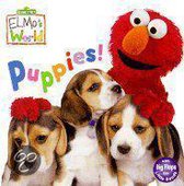 Puppies