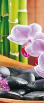 Flowers Orchids Zen Photo Wallcovering