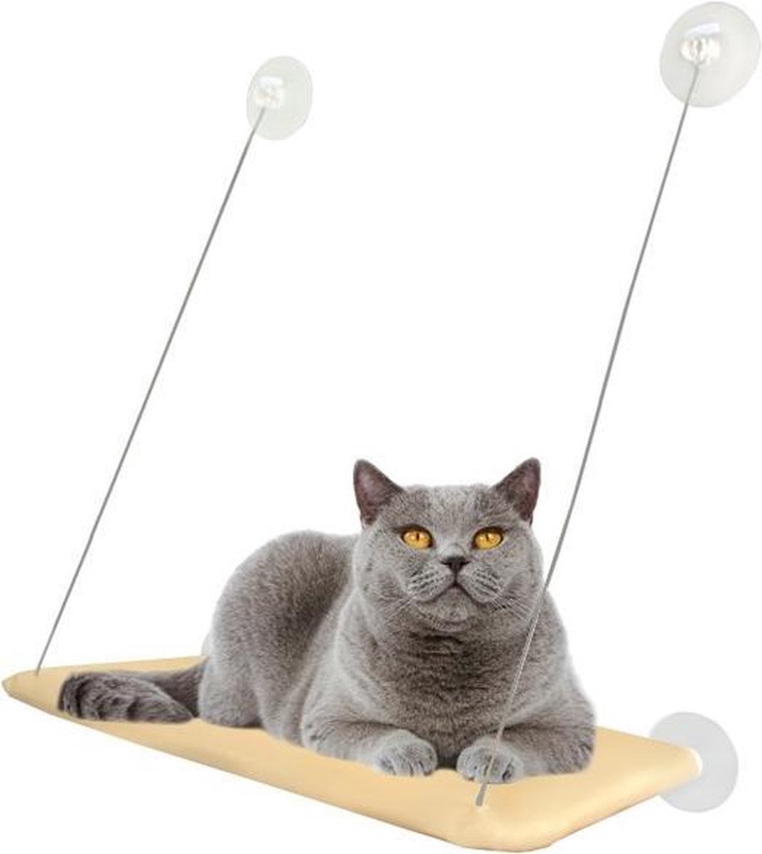 Comfort Kattenhangmat Met Zuignappen - Window Cat Bed - Raam Kattenbed - Poezen  Hangmat | bol.com
