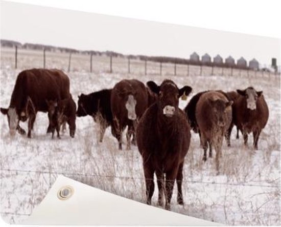 Affiche de jardin Troupeau de vaches dans un champ de neige 120x80 cm - Toile de jardin / Toile d'extérieur / Peintures d'extérieur (décoration de jardin)