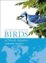 Birds Of North America