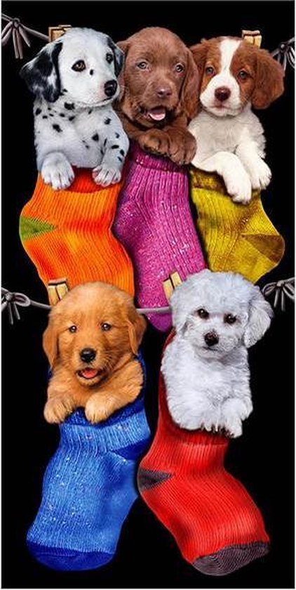 The Beachtowel Strandlaken - Puppies in Socks - 75x150 cm