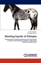 Working Equids of Ethiopia