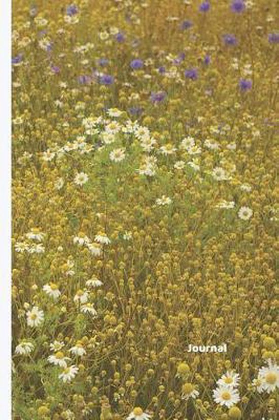 Journal, Spread Sunshine 9781077970137 Boeken