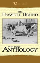 The Basset Hound - A Dog Anthology (A Vintage Dog Books Breed Classic)