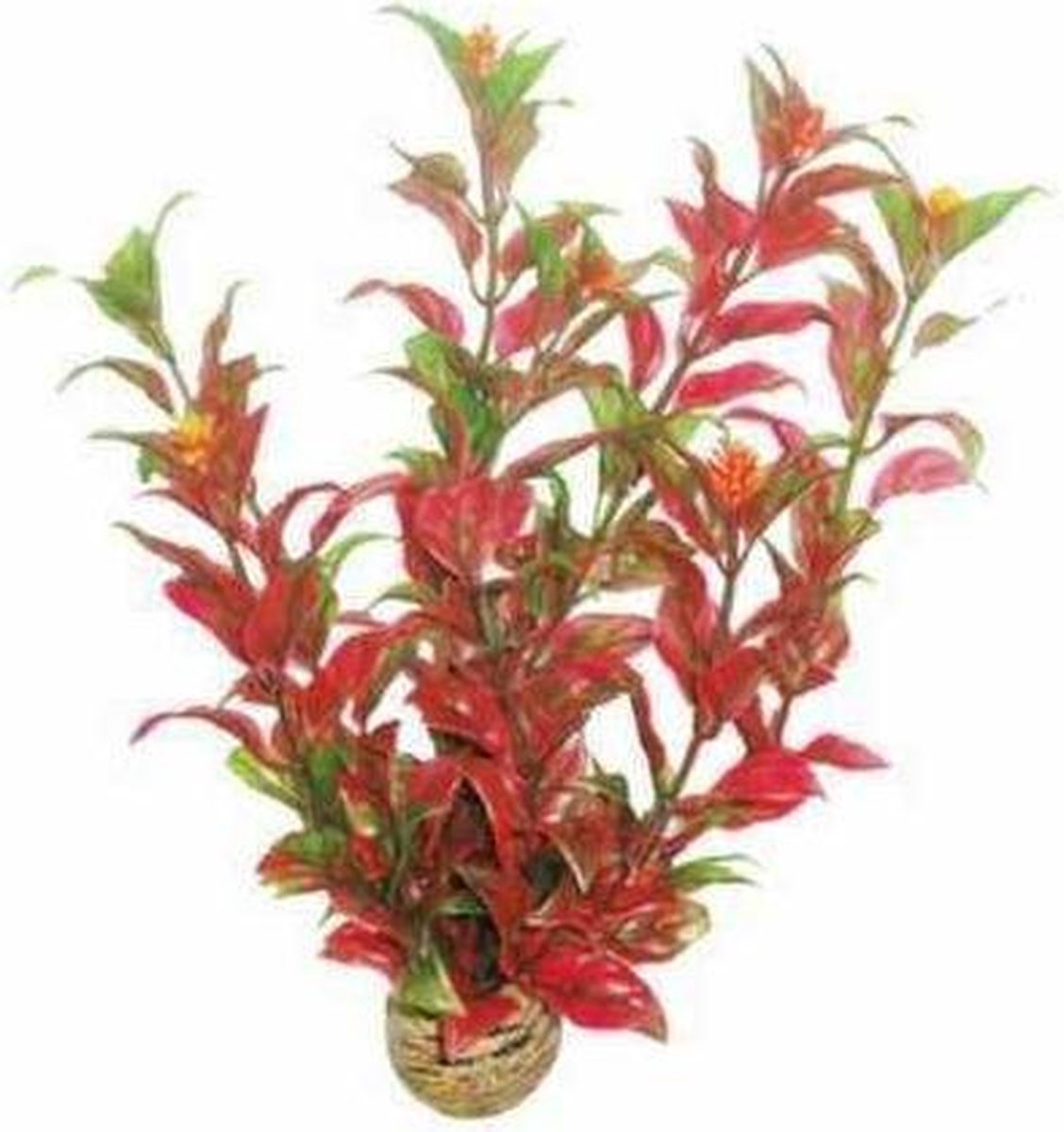 Superfish Easy Plants middel 20 cm - nr 6 thumbnail 2