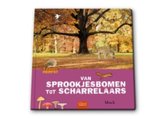 Herfst: Van sprookjesbomen tot scharrelaars.