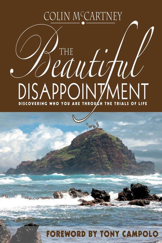 The Beautiful Disappointment - cover