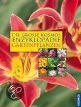 Die große Enzyklopädie der Gartenpflanzen