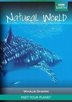 Bbc Earth Natural World - Whale Shark