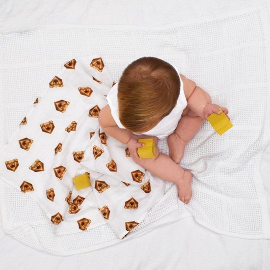 Bambino Mio Muslin Miosquares Grizzly