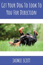 Get Your Dog to Look To You For Direction!