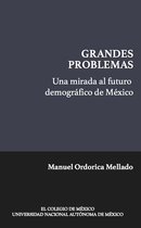 Grandes problemas - Una mirada al futuro demográfico de México (Coedición)