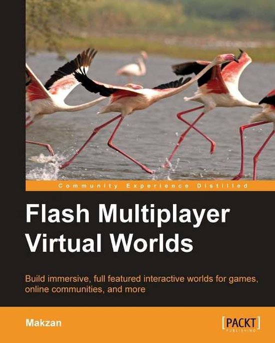 Flash Multiplayer Virtual Worlds - cover