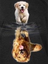 SEOS Shop ® Diamond Painting Pakket Labrador van Pup naar Volwassen - Volwassenen - 30x40 cm - Vierkant