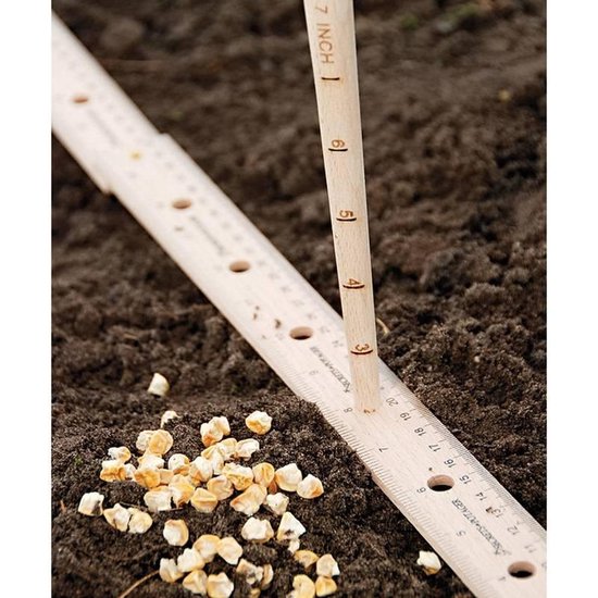 Talen Tools - Plantliniaal - Met pootstok - 35 cm van Talen Tools — afbeelding 2