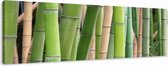 Art4-all - Canvas Schilderij Bamboe - 120x40cm