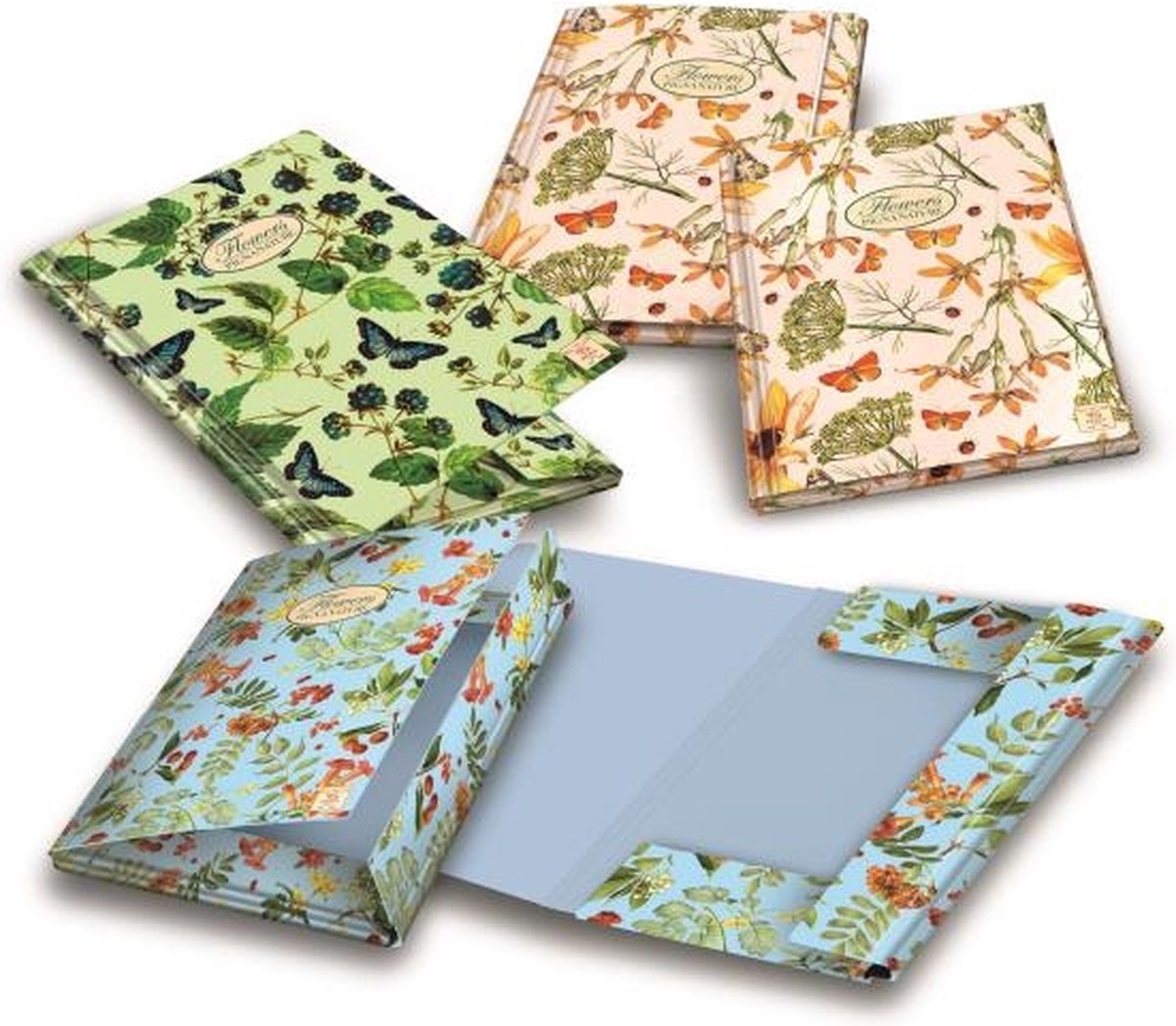 Pigna Flowers, Karton, Meerkleurig, 345 mm, 260 mm, 6 stuk(s)