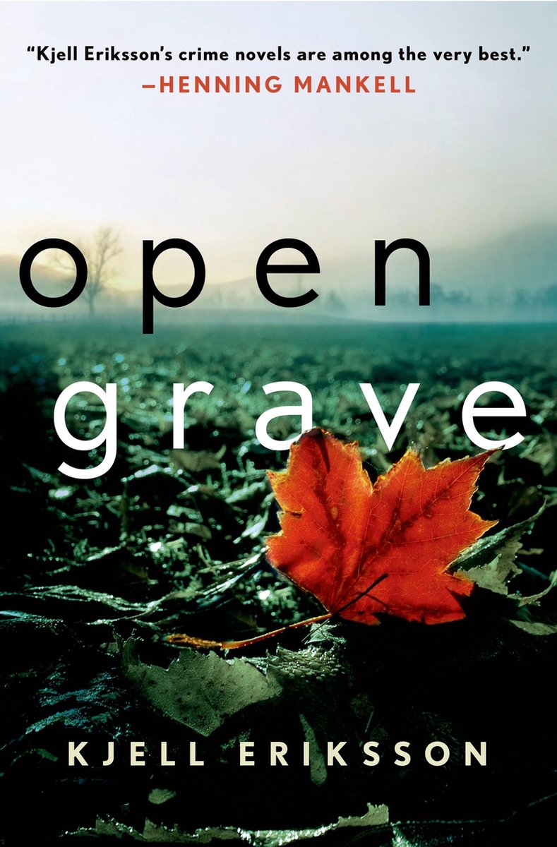 Omslag van Ann Lindell Mysteries 6 - Open Grave