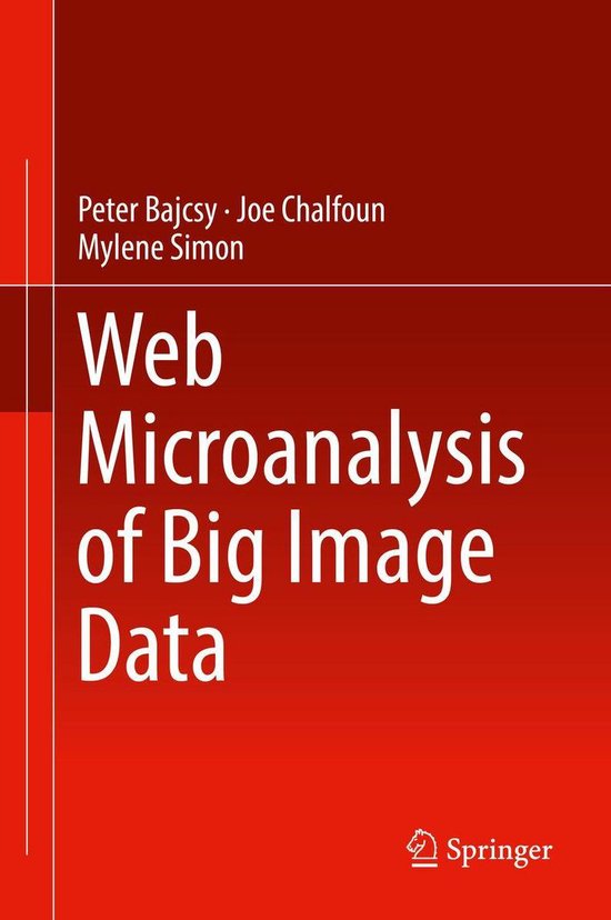 Engineering (R0) - Web Microanalysis of Big Image Data - cover