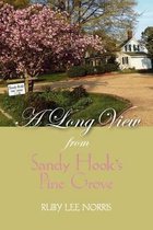 A Long View from Sandy Hook's Pine Grove