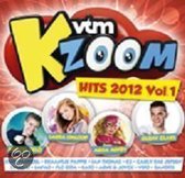 VTM Kzoom Hits 2012.1
