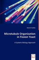 Microtubule Organization in Fission Yeast - A Systems Biology Approach