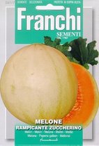 Père Melone Rampicante Zuccherino - Melon 91/7