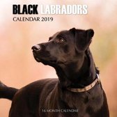 Black Labradors Calendar 2019