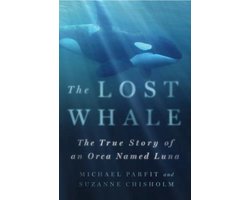 Lost Whale