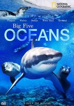 Big Five Oceans