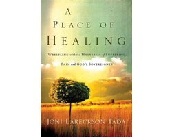 Omslag van A Place of Healing
