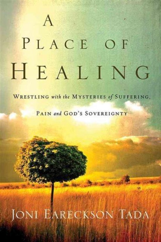A Place of Healing - cover