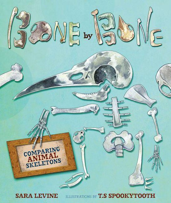 Animal by Animal - Bone by Bone - cover