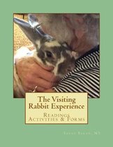 The Visiting Rabbit Experience