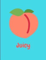 Juicy Peach Notebook Journal Aqua 150 College Ruled Pages 8.5 X 11