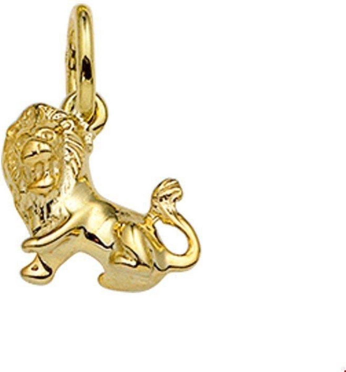 Hanger Sterrenbeeld 14K Geelgoud