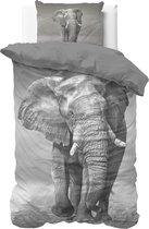 Dreamhouse Elegant Elephant - Dekbedovertrek - Eenpersoons - 140x200/220 + 1 kussensloop 60x70 - Antraciet