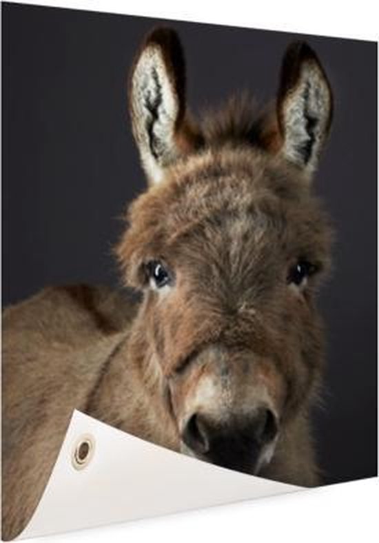 Portrait chevalet Affiche de jardin 100x200 cm - Toile de jardin / Toile d'extérieur / Peintures d'extérieur (décoration de jardin) XXL / Groot format!