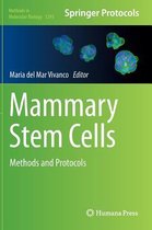 Mammary Stem Cells