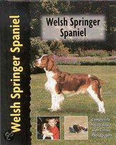 Welsh Springer Spaniel