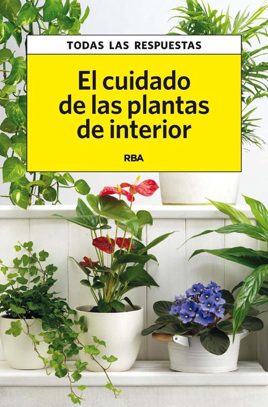 El cuidado de las plantas de interior - cover