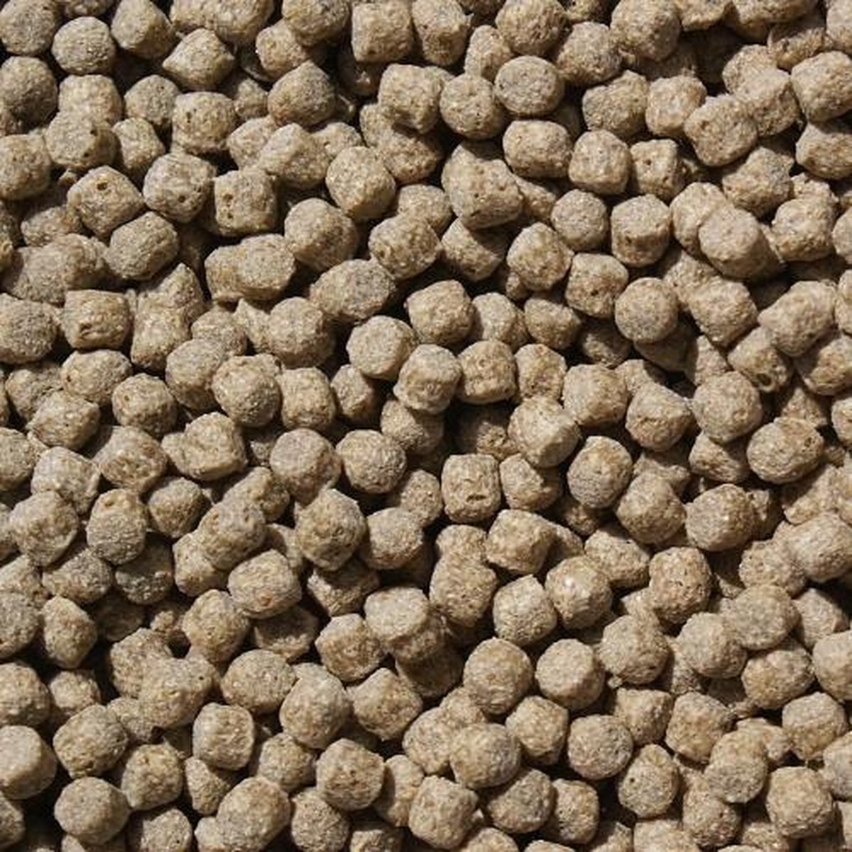 Koivoer Wheat Germ - 5KG - 6mm - Wintervoer