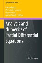 Springer INdAM Series - Analysis and Numerics of Partial Differential Equations