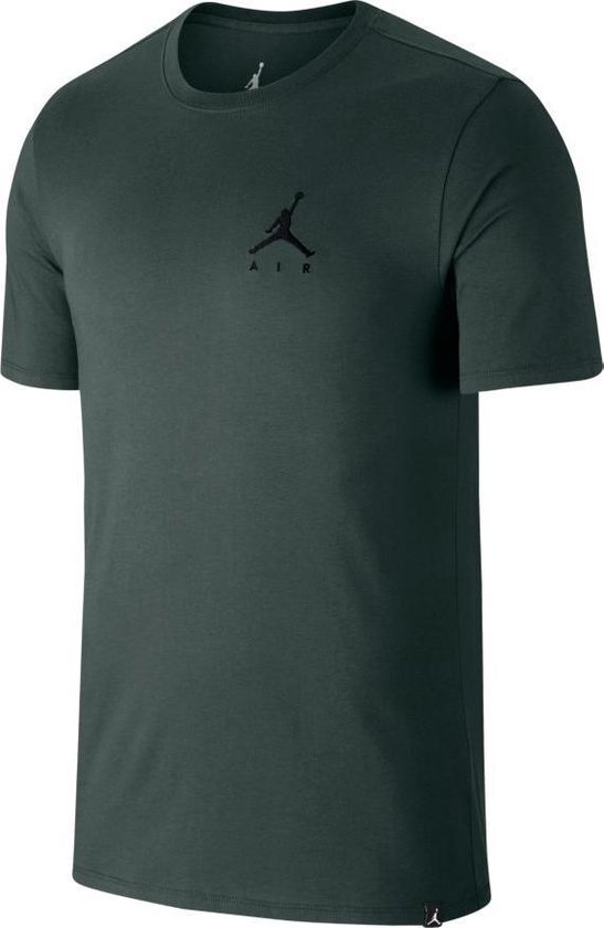 Jordan T-shirt Jumpman AH5296-664 | bol.com