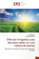 Omn.Univ.Europ.- Effet de L Irrigation Avec Des Eaux Salées Sur Une Culture de Quinoa