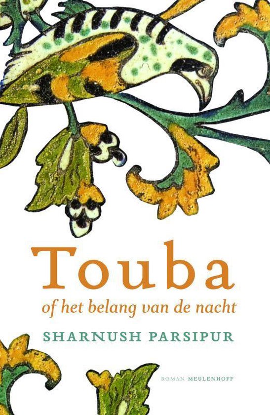 Toeba en het belang van de nacht - Shahrnush Parsipur | Respetofundacion.org