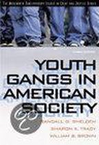 Youth Gangs In American Society